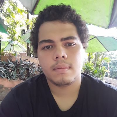 Livros são como a tradução da alma para a realidade