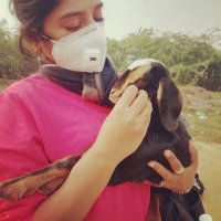 nalini (@nalsferns) 's Twitter Profile