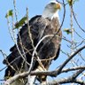 nordicscripts's profile picture. Author, 🇸🇪🇺🇸, Scandinavian Studies Scholar, Retired Financial Adviser, #KAG #TRUMP2024  #PATRIOT #CONSERVATIVE. ✝️ #MAGA