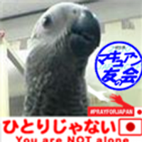 mamo (@_mamo_) 's Twitter Profile