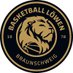 Basketball Löwen (@BBLoewenBS) Twitter profile photo