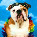 Thomas True - @tv1photog - Twitter