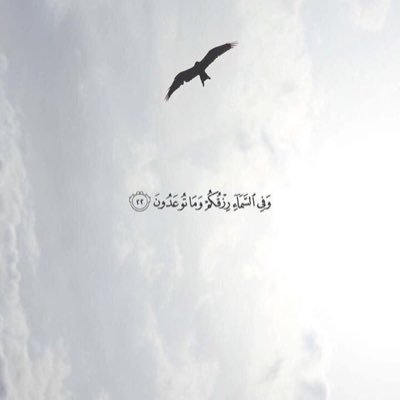 Algarni565's profile picture. 