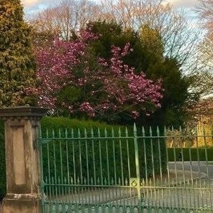 Improving car-free and active travel on the Wirral peninsula.