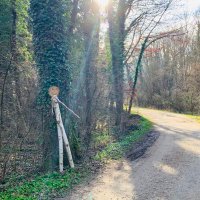 lxy (@lululu0082) 's Twitter Profile