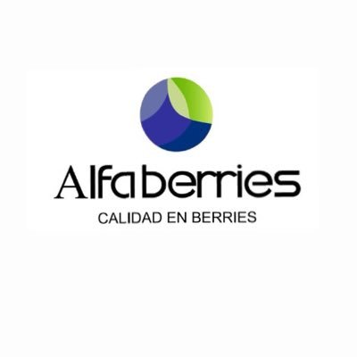 Exportadora Alfaberries Ltda.
