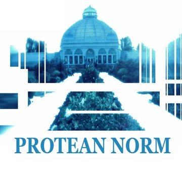 Protean Norm