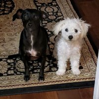 Scott Culiner 🇺🇸 (@smc356) 's Twitter Profile Photo Scott Culiner 🇺🇸 (@smc356) 's Twitter Profile Photo