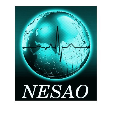 NESAO (Near-Earth Space & Atmospheric Observatory) is a network of ground-based observatory for monitoring near-earth space and atmosphere (Kolkata, India)