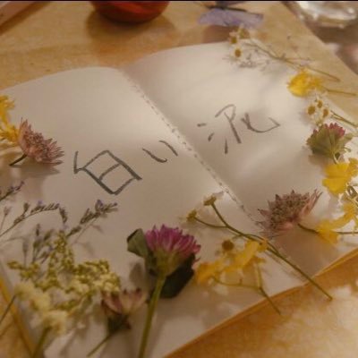 HunnyLemonedo's profile picture. 公式と芸能人だけ。 呟きません。