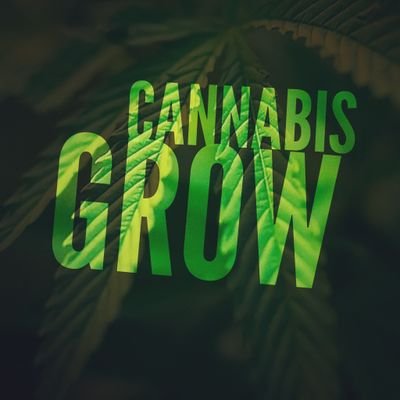 CannabisGrow es un canal educativo e informativo, hablaremos sobre características, cultivo, consumo responsable, cultura cannabica y actualidad