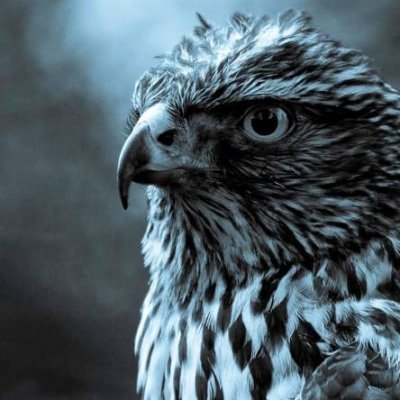 AnaghaS36166211's profile picture. 