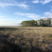 Naples-FLA (@naplesfldreams) 's Twitter Profile