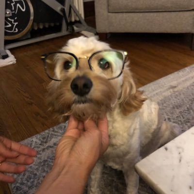 imcoryedwards's profile picture. 