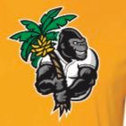 Official Twitter Account of the Gorilla Baseball Club 2024 National Fall Team.  We’re more fun than your team.