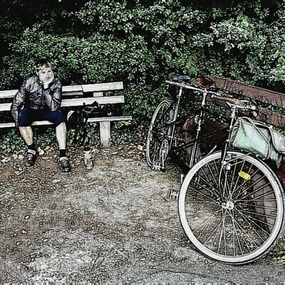 stepfried's profile picture. 