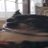 ohgoditsPhoenix's profile image