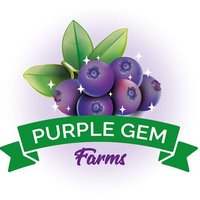 Purple Gem Farms(@PurpleGemFarms) 's Twitter Profile Photo
