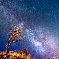 Ayncalut1326 (@ayncalut1326) 's Twitter Profile