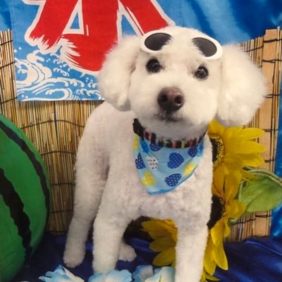 road_s9's profile picture. SMAP/中居くん推し。中居くん全力応援！永遠に中居ヅラ♡神様見守って！お願い♡Twitter/Xリツィート多め♪過去凍結ある為