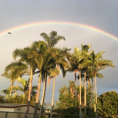 Sbbshaneee's profile picture. A child of God ✝️