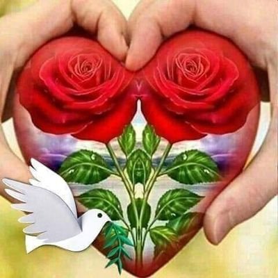 salmanA74002197's profile picture. Salman Afridi