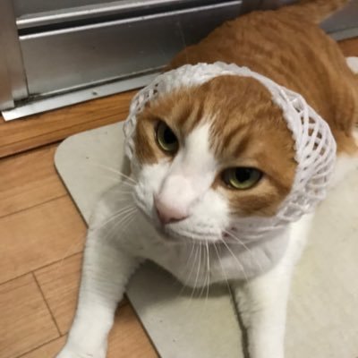 釣り大好き 猫大好き 子供2人👶👶 たまに嫁 #グランドホール #小田原 #ビュー #甘デジ #パチンコ #スロット #甘zone