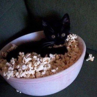 popcorn scourge | filmic enhancement tweeting by delaney | https://t.co/arBCXklcxN