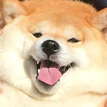 1happydoggo's profile picture. BLM