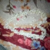 الاسمر (@p3fmznbvq24zntd) 's Twitter Profile