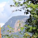 greg wilson - @gaw101 - Twitter