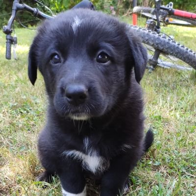 madisonaud's profile picture. 