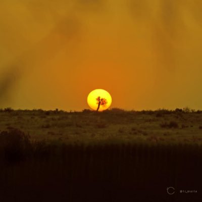 sireshoba's profile picture. KNOWLEDGE...WISDOM...ETERNITY