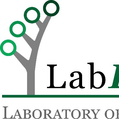O Laboratory of Integrated Sciences (Unifesp) integra pesquisadores nas áreas de Química e Ciências Ambientais.