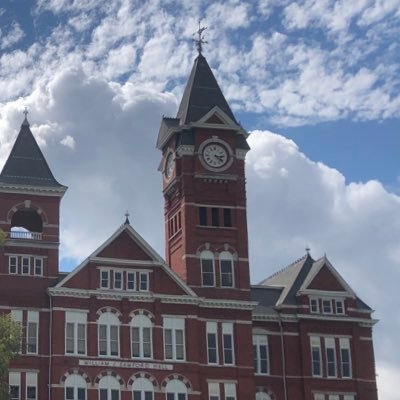 willtootle's profile picture. AU ‘24