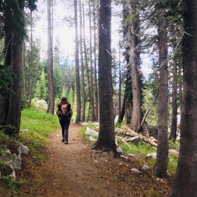 LDei11's profile picture. get your hands dirty | we all have to start somewhere | #100daysofcode #womenwhocode | #womenintech