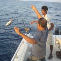 Ahmed Zahir (@hirigazahir) 's Twitter Profile