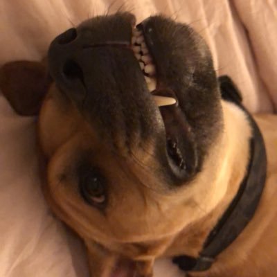 keeleyh23's profile picture. 