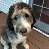 Anis Contractor (@contractoranis) 's Twitter Profile