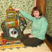 Janet Serra (@cttourismwest) Twitter profile photo