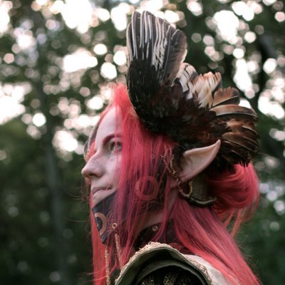 Founder of EtherworldLarp 
Costumer, Photographer, Artist, Animator
Lvl 30+