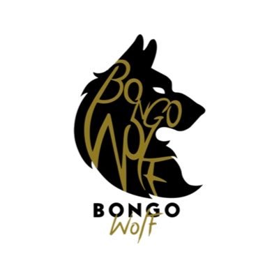 Bongowolfband's profile picture. Coming soon.......