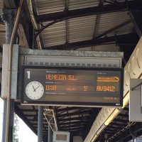 Molly (@morry313) 's Twitter Profile