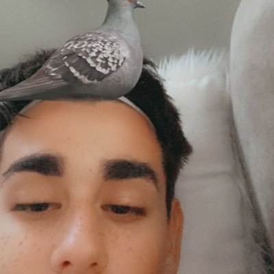 abnerilioni's profile picture. every 60 seconds in Africa a minute passes                $abnerilioni