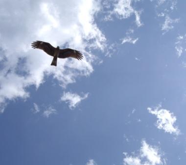yumi_chibikuro's profile picture. 江ノ島近くに住んでいる小人です。❤️→登山⛰富士山 ソロキャン  日本史 幕末史 データマーケ ドラマ