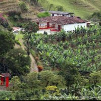 Tecnicafe (@tecnicafe1) 's Twitter Profile