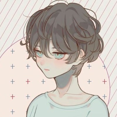 hchphoenix's profile picture. He/him | I like to play roblox