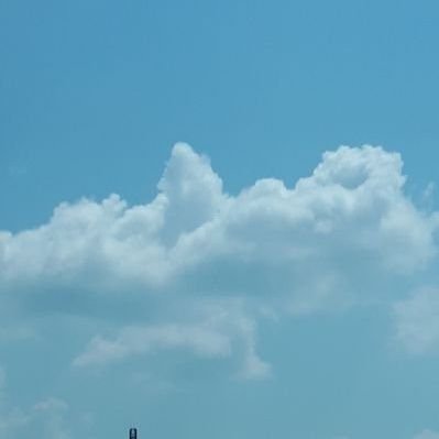 Fargus00200873's profile picture. Cool Calm Confident