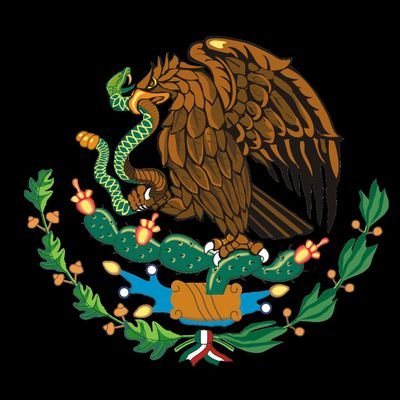 Mexicano amante de su patria libre y soberana sin corrupción ni dictaduras convencido del diálogo y la democracia participativa