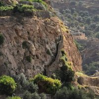 ابن سعيد (@albdralmner) 's Twitter Profile